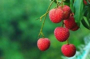 水果也能补肾壮阳？推荐8种补肾壮阳水果，怎么补肾壮阳