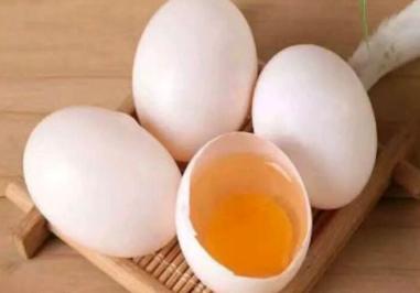 进步性能力不可错失的补肾壮阳食物—鸽子蛋