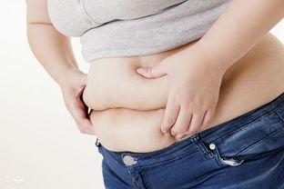什么会导致高胆固醇？
