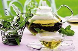 如何使图尔西绿茶减肥？