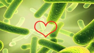 益生菌促进消化系统健康的 8 种方式